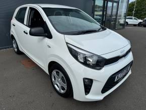 KIA PICANTO at Allingtons Motor Group Ashington