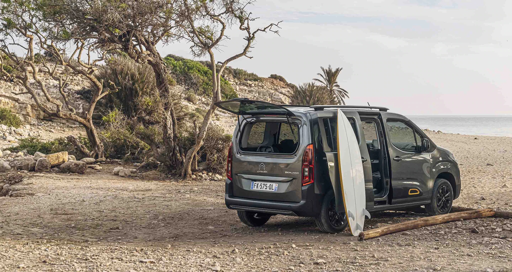 CITROËN BERLINGO RIP CURL SPECIAL EDITION