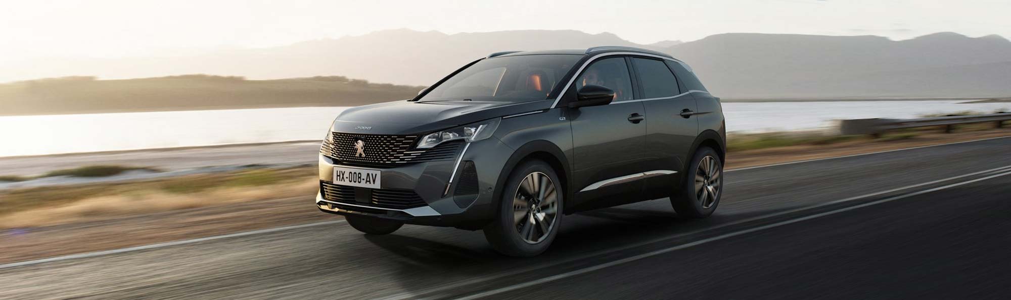 peugeot 3008 Banner