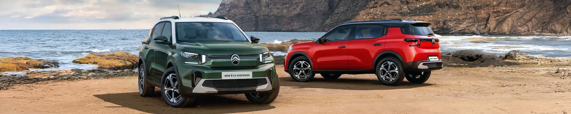 Citroen Business at Allingtons